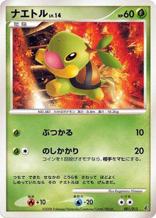 1-turtwig