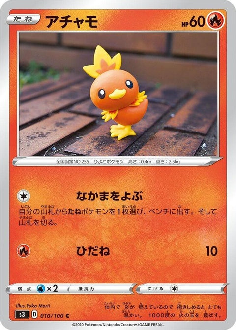 10-torchic