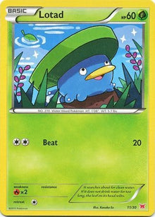 11-lotad
