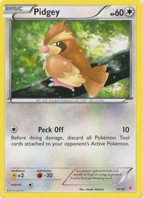 11-pidgey