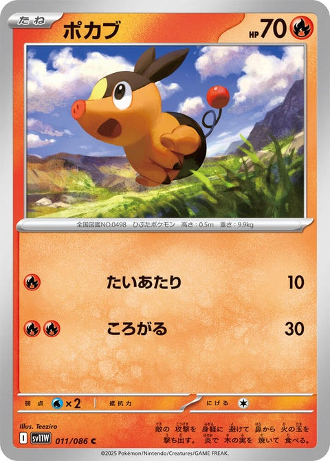 11-tepig