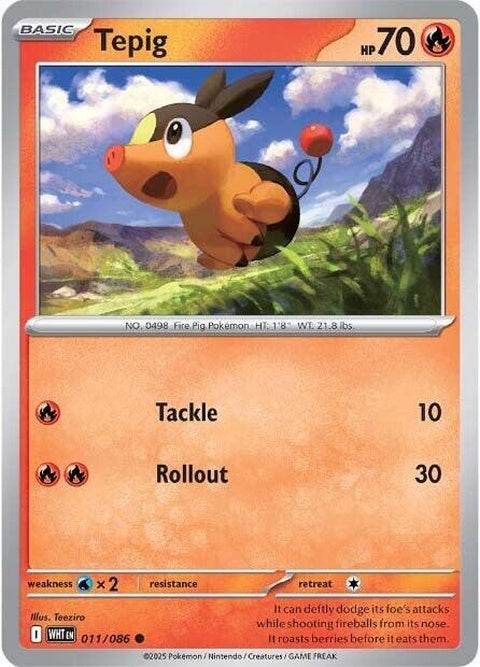 11-tepig