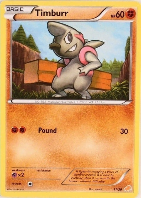 11-timburr