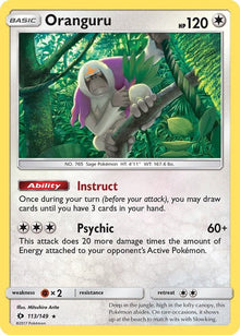 113-oranguru