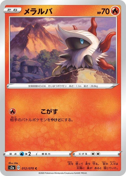 12-larvesta
