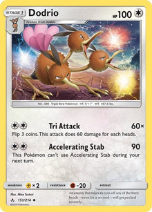 151-dodrio