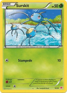 16-surskit