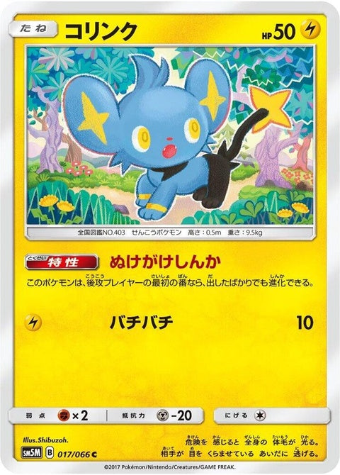 17-shinx