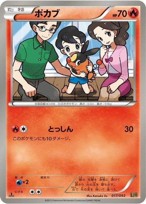 17-tepig