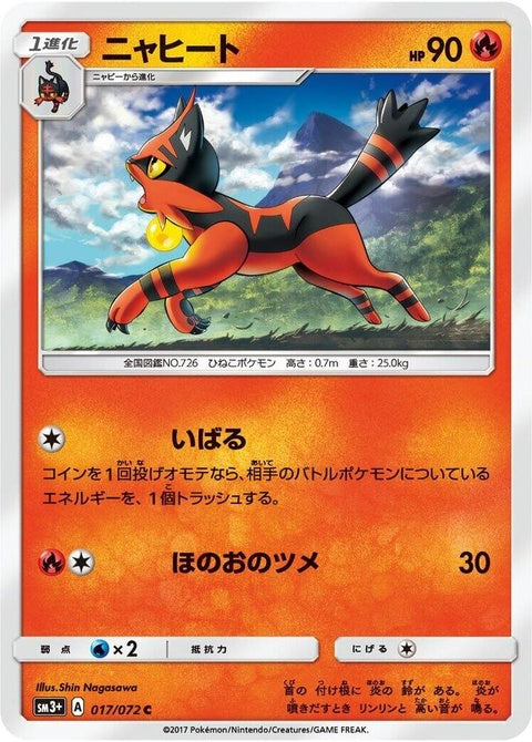 17-torracat