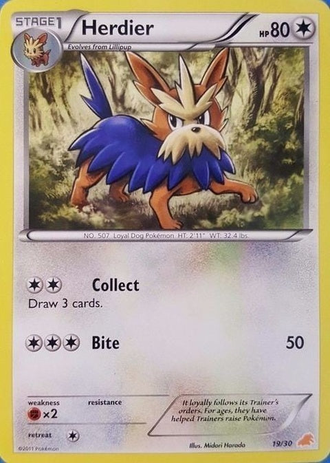 19-herdier
