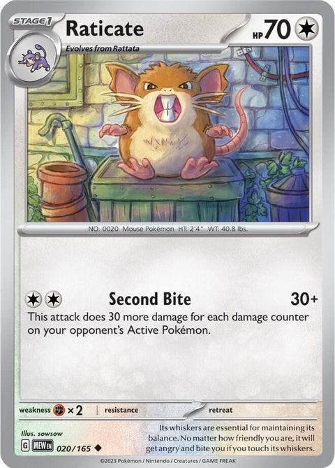 20-raticate