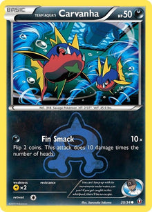 20-teamaquascarvanha