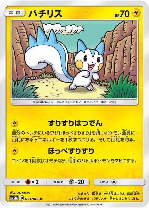 21-pachirisu