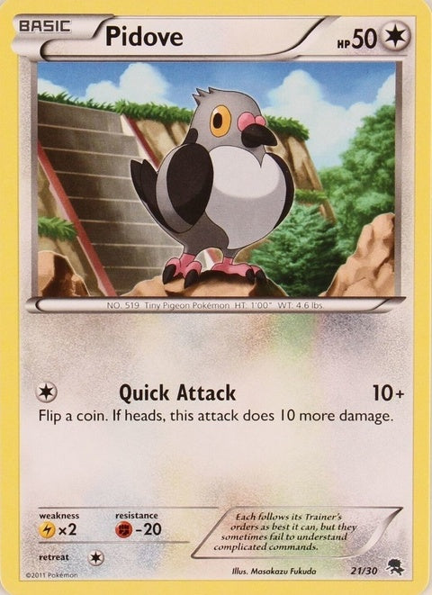 21-pidove