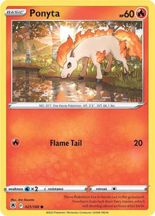 21-ponyta