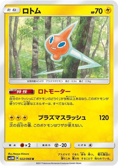 22-rotom