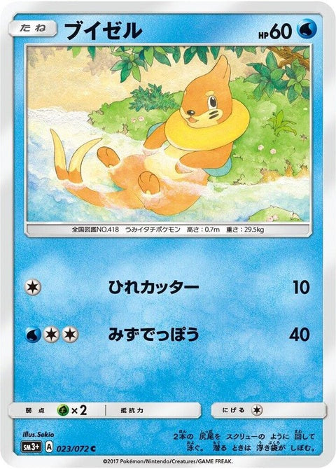 23-buizel