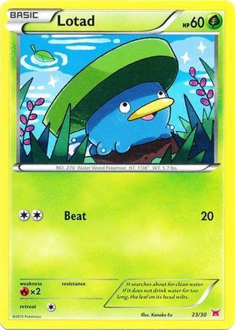 23-lotad