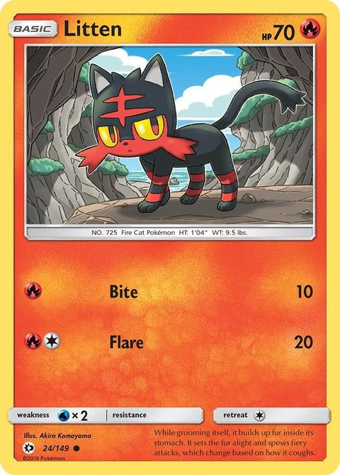 24-litten
