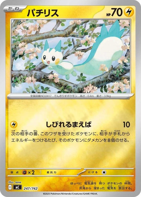 247-pachirisu