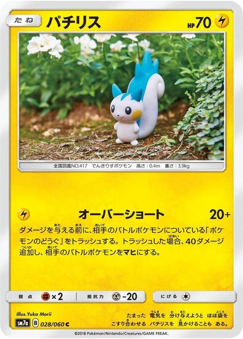 28-pachirisu