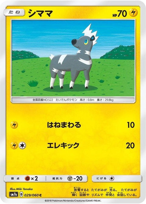 29-blitzle