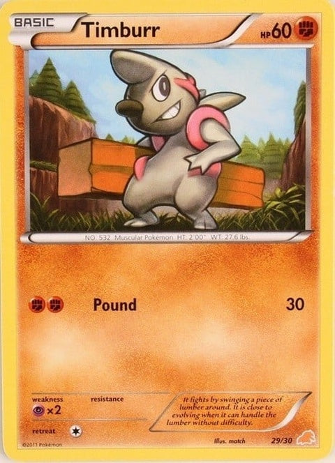 29-timburr
