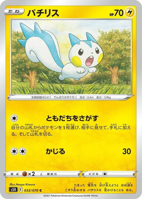 33-pachirisu