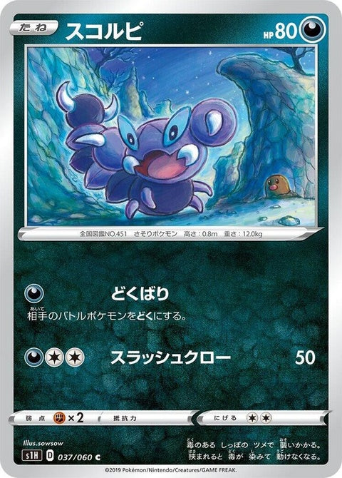 37-skorupi