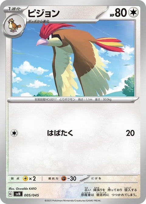 5-pidgeotto