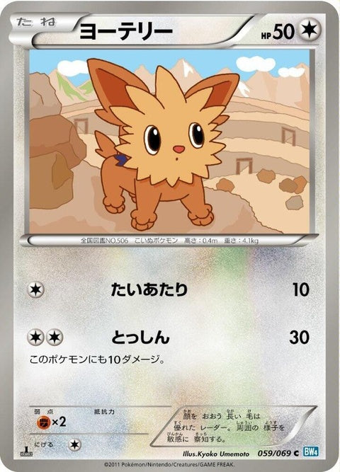 59-lillipup
