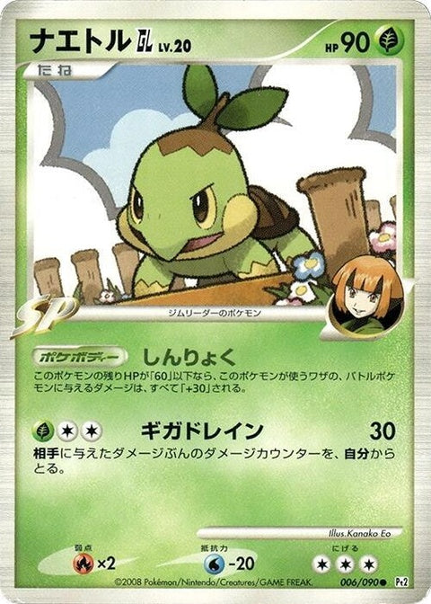 6-turtwiggl