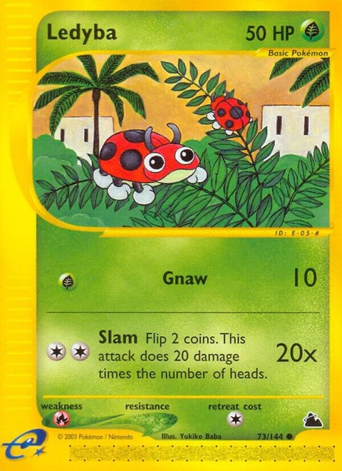 73-ledyba