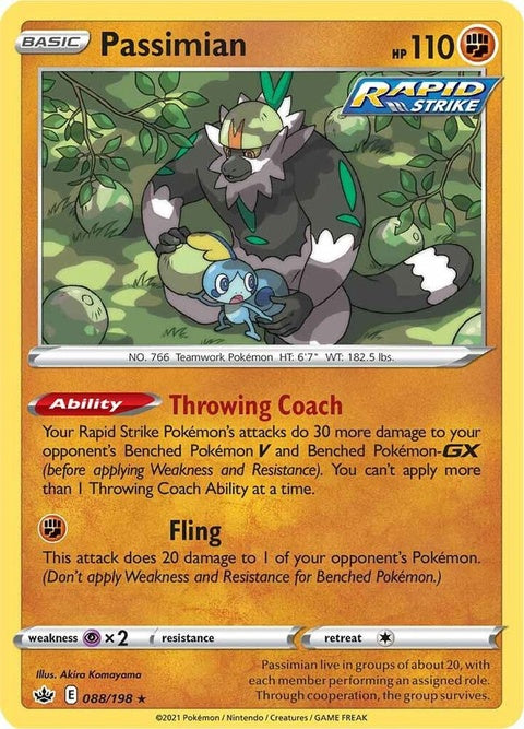 88-passimian