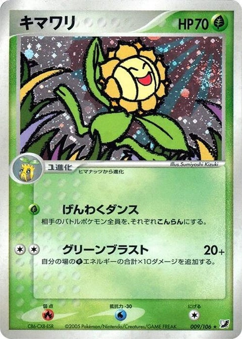 9-sunflora