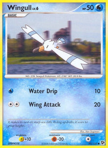 95-wingull