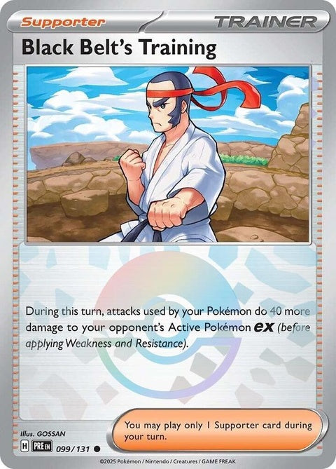 99-blackbeltstraining-pokeballpattern