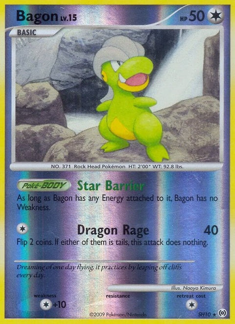 sh10-bagon-shiny